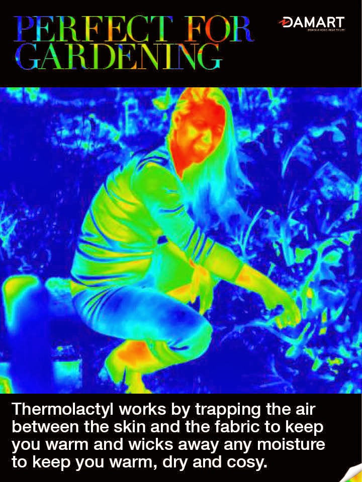 Damart Infographic 2 orignal