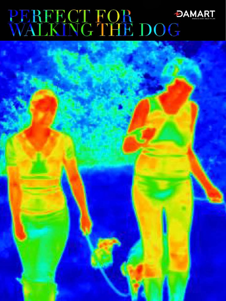 Damart Infographic 4 original